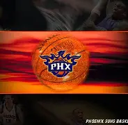 菲尼克斯太阳队官网