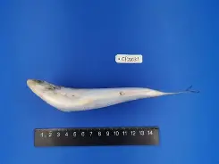 乐鱼体育平台 -yp88888怎么进不去了