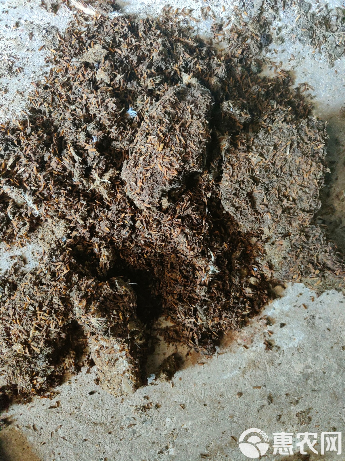 苏粪壤以充帏兮 苏粪壤以充帏兮